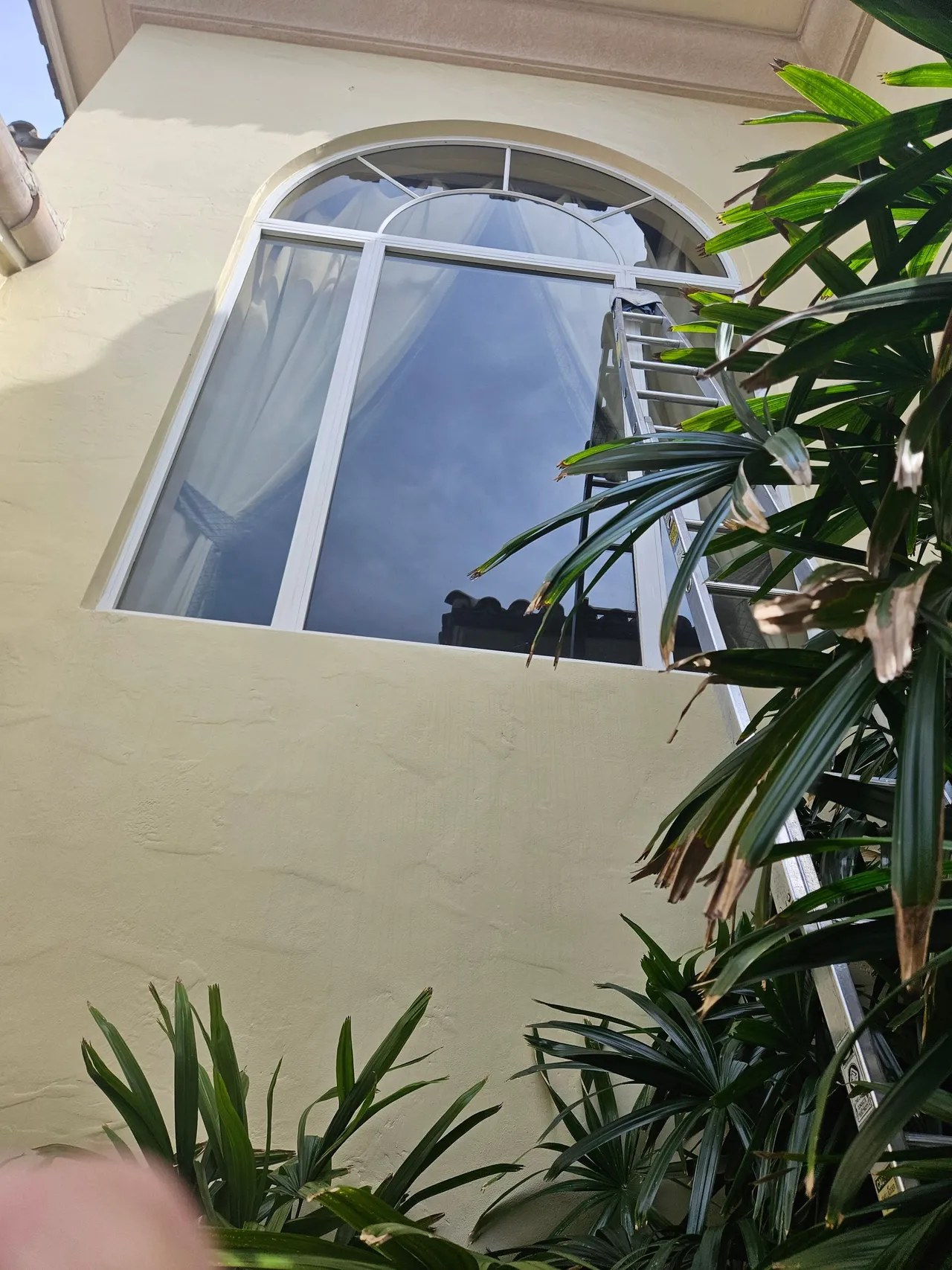 Window washing services in Parkland FL